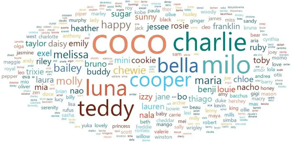 word cloud: most popular name for poodles