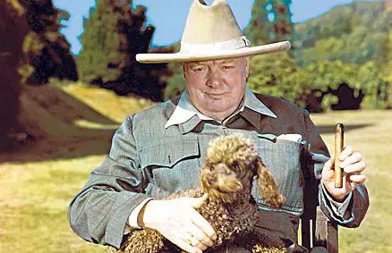 Winston Churchill with his poodle rufus