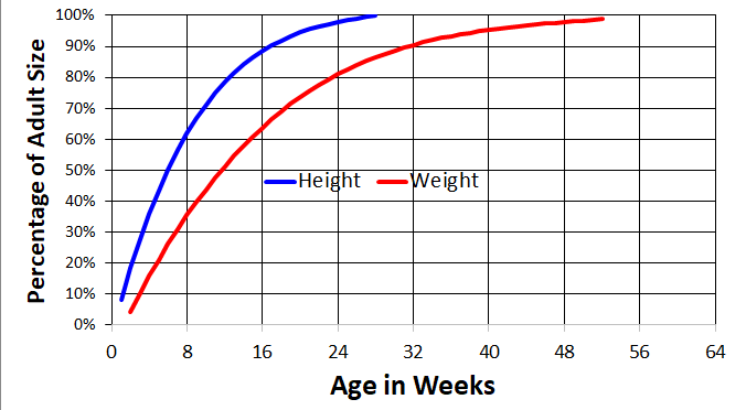 toy poodle growth chart