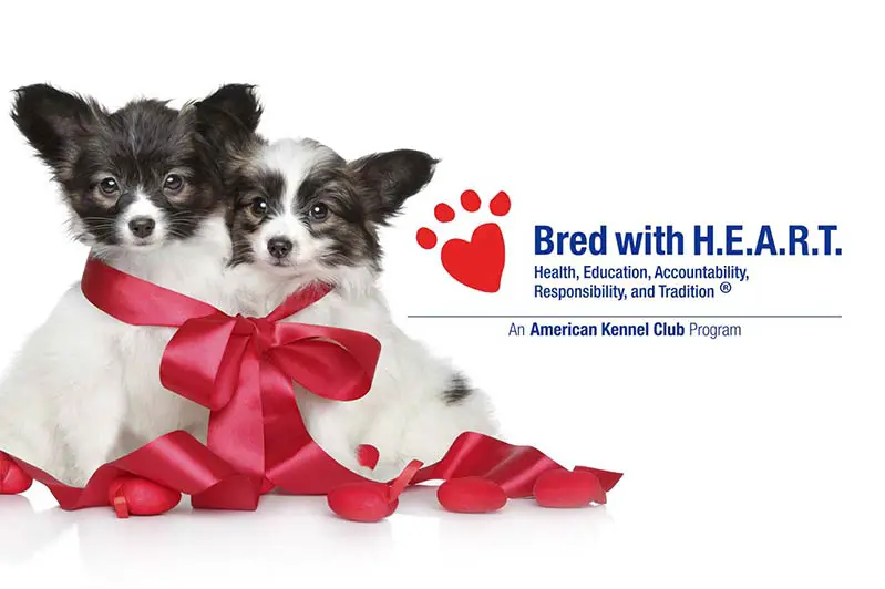 akc breed with heart program image