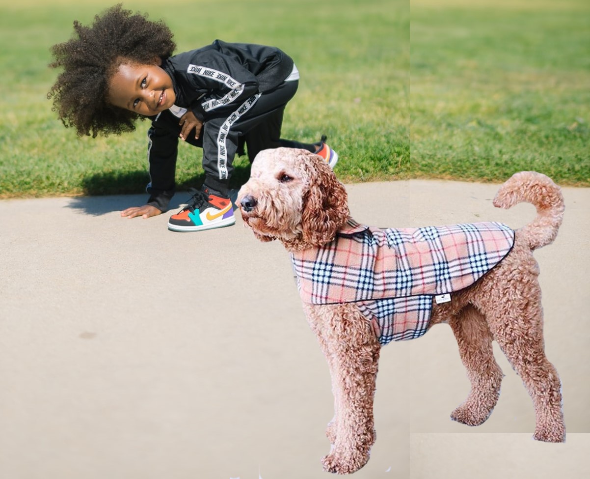 are standard poodles good with children