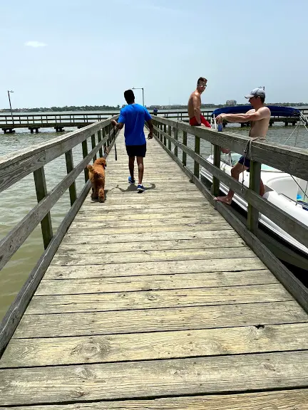 poople by the lake with people