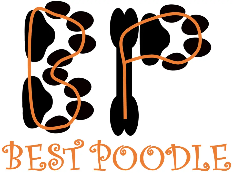 best poodle logo 2