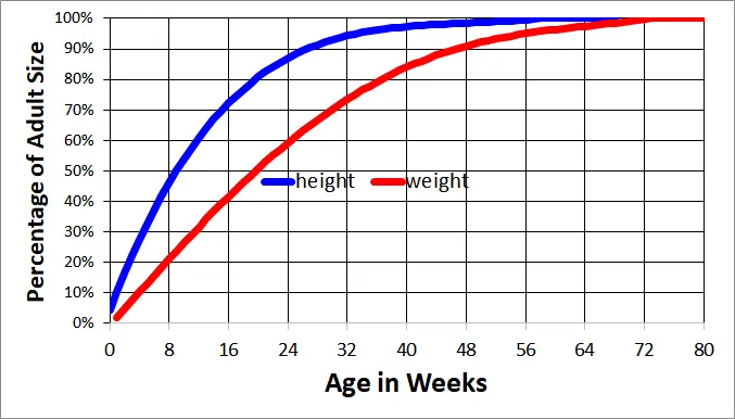 Miniature Poodle Growth Chart Graph 