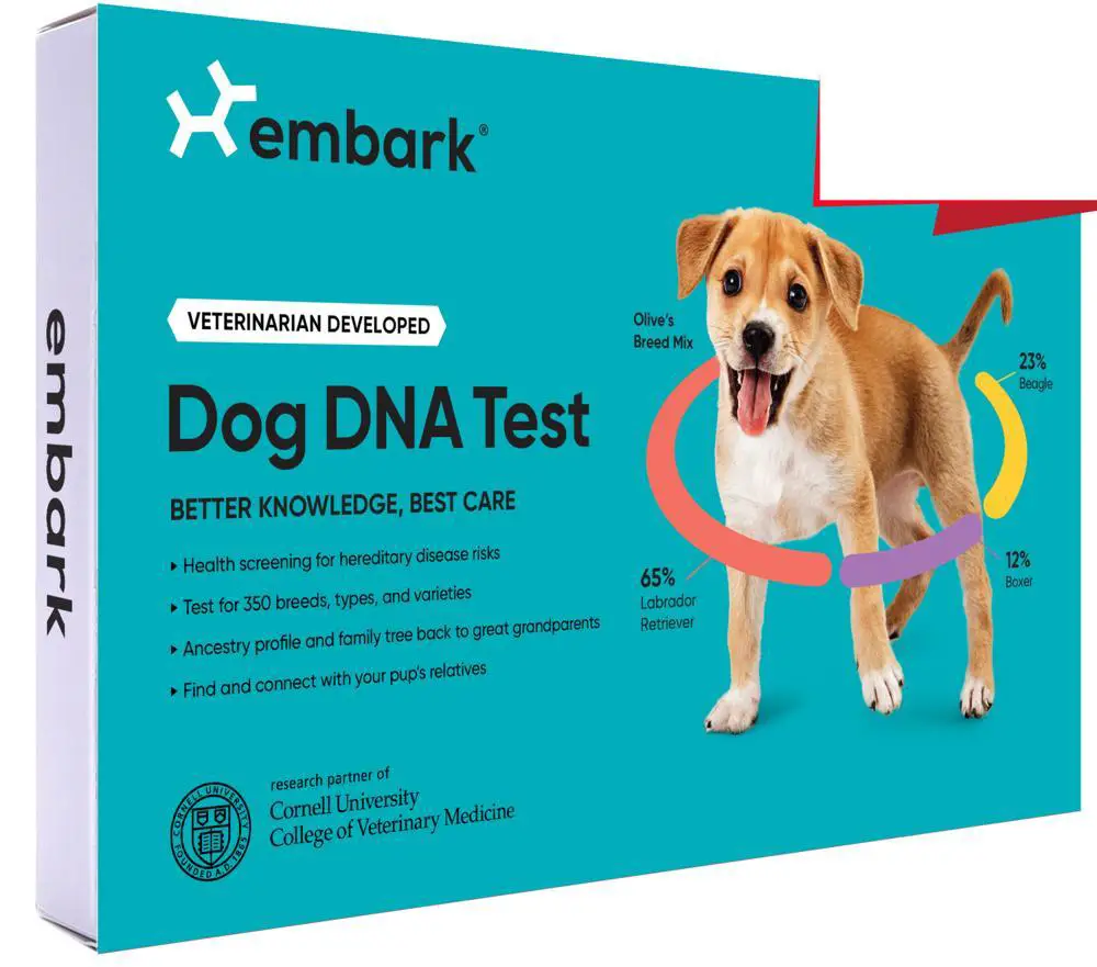 Embark DNA test kit