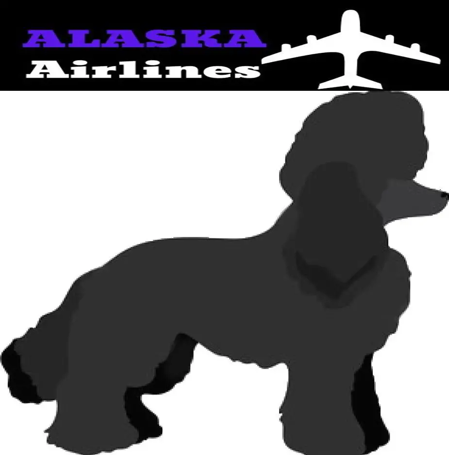Miniature Poodle image and alaska Airlines Logo