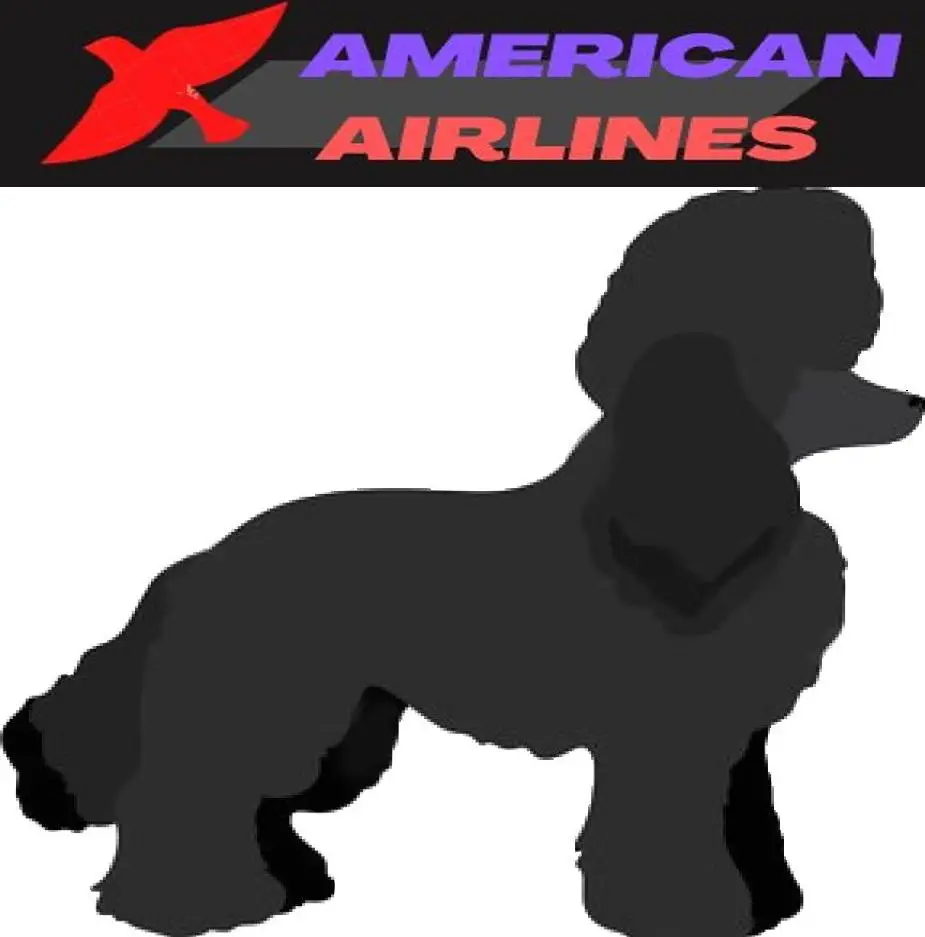 Miniature Poodle image and american Airlines Logo