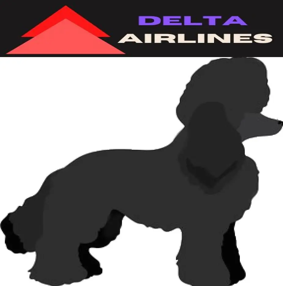 Miniature Poodle image and delta Airlines Logo