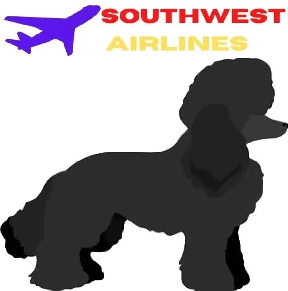 Miniature Poodle image and southwest Airlines Logo