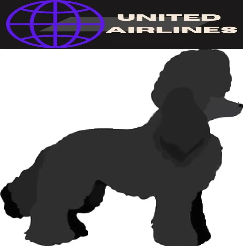 Miniature Poodle image and united Airlines Logo
