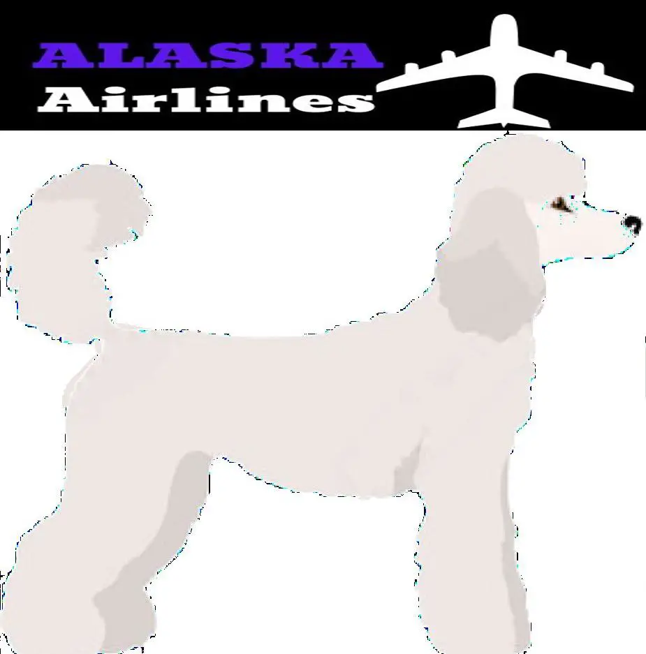 Standard Poodle image and alaska Airlines Logo