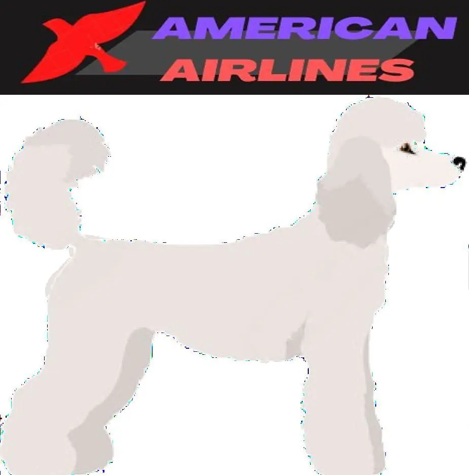Standard Poodle image and american Airlines Logo