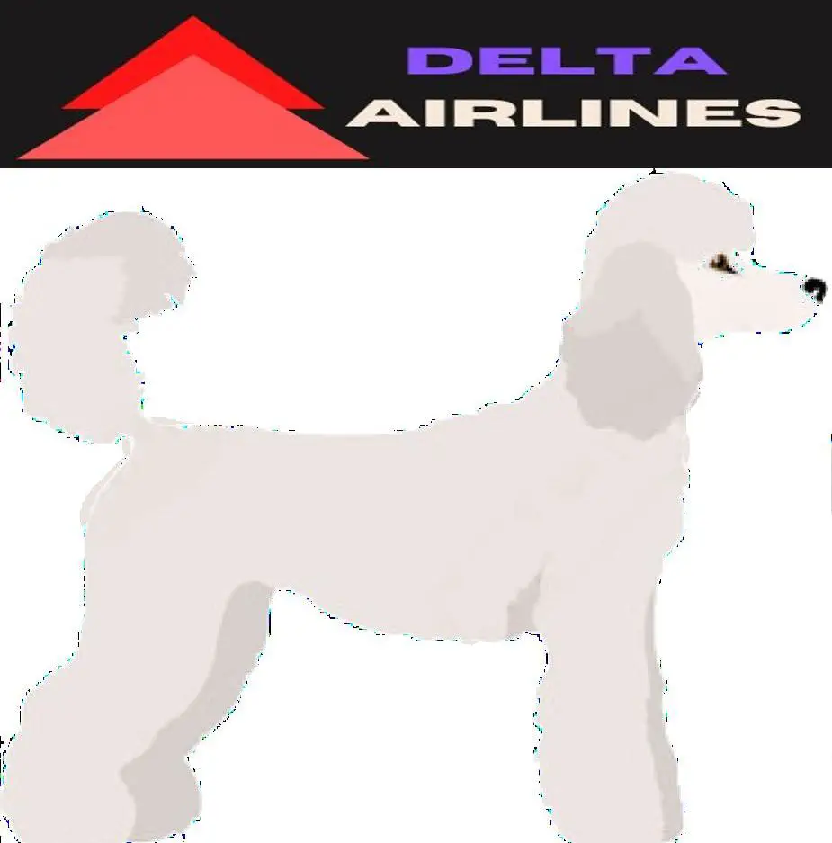 Standard Poodle image and delta Airlines Logo