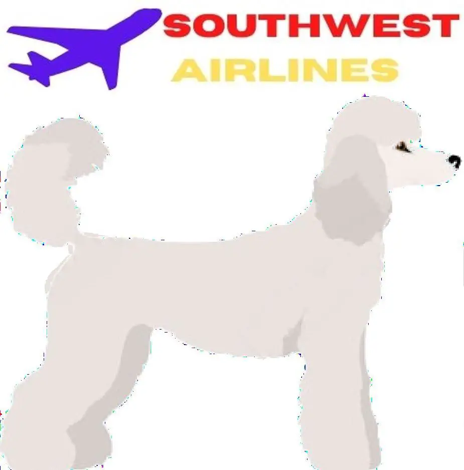 Standard Poodle image and southwest Airlines Logo