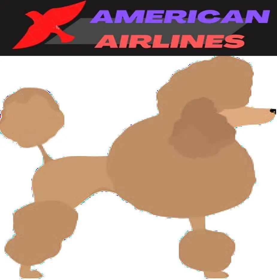 Toy Poodle image and american Airlines Logo