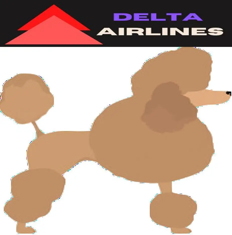 Toy Poodle image and delta Airlines Logo