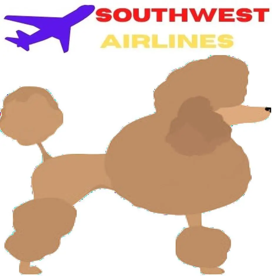 Toy Poodle image and southwest Airlines Logo