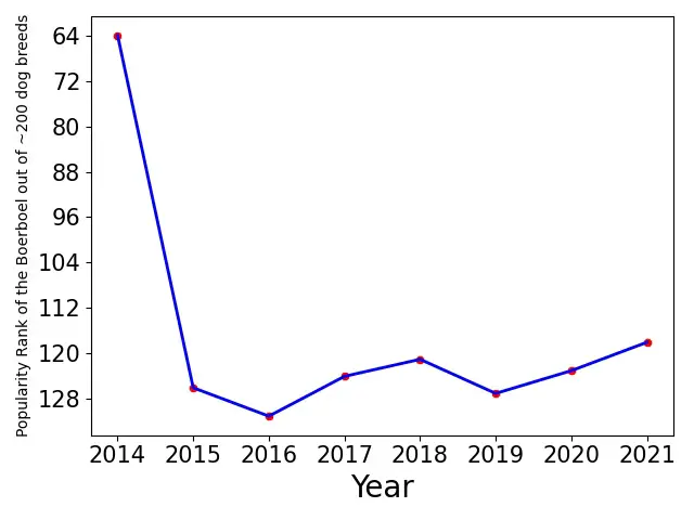Popularity of Boerboel