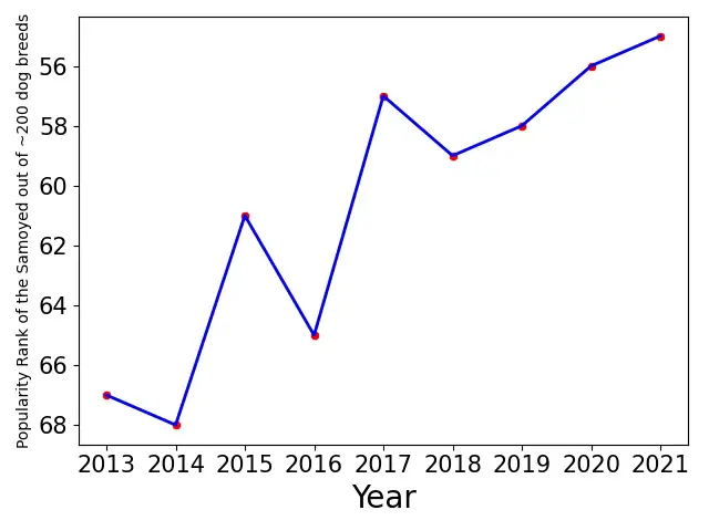 Popularity of Samoyed