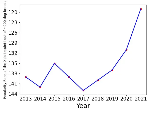 Popularity of Xoloitzcuintli